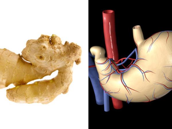 Ali podobnost res zdravi?